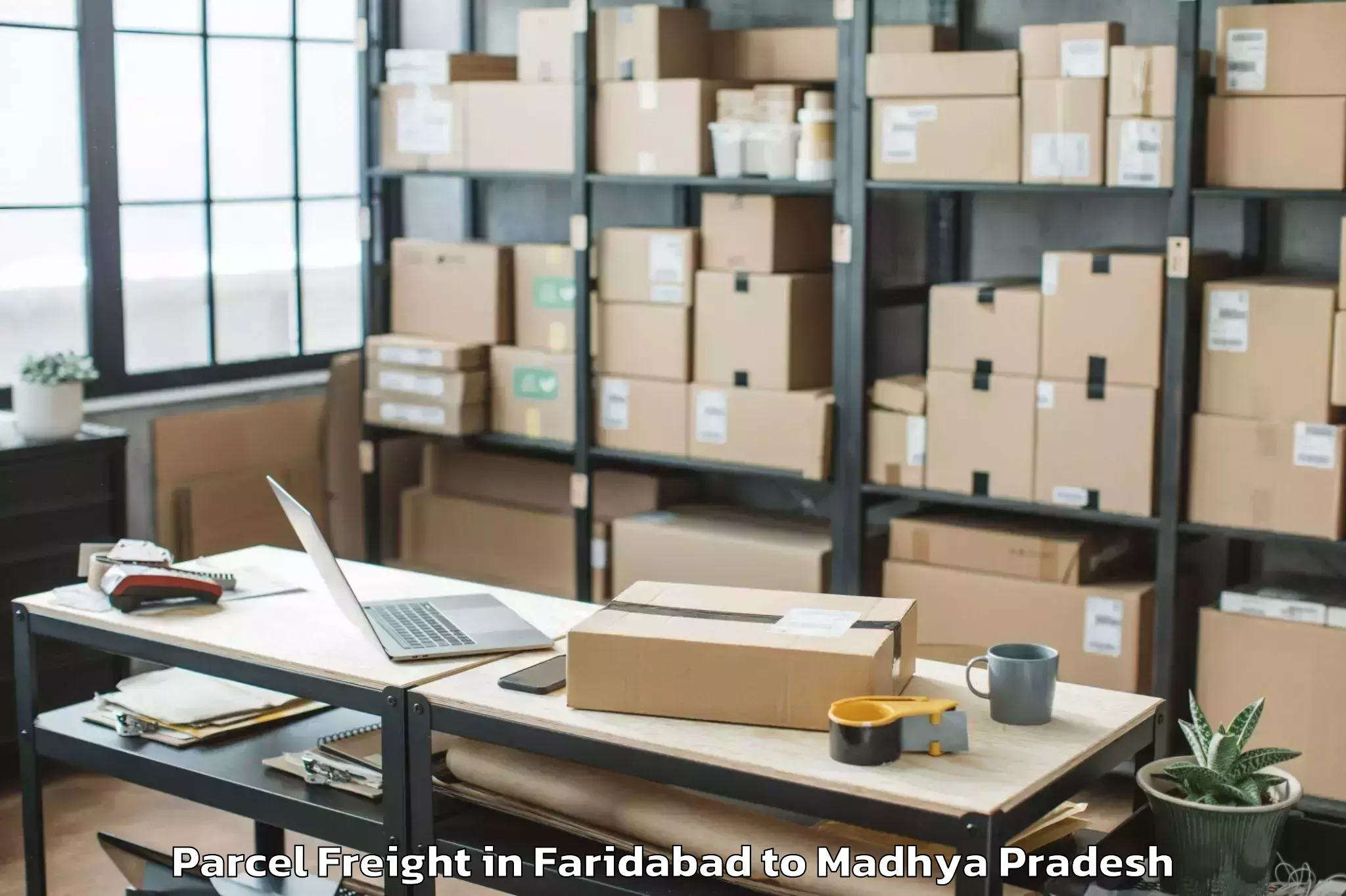 Book Faridabad to Khachrod Parcel Freight Online